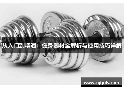 从入门到精通：健身器材全解析与使用技巧详解