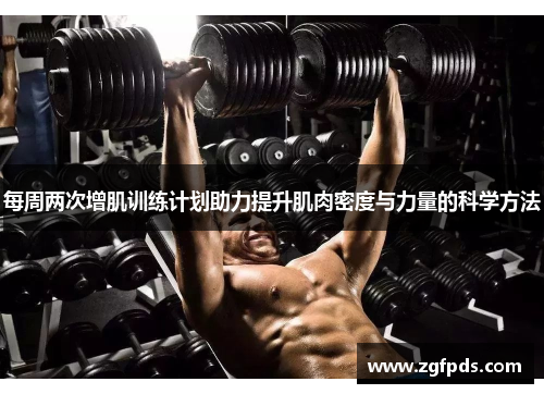 每周两次增肌训练计划助力提升肌肉密度与力量的科学方法