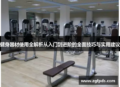 健身器材使用全解析从入门到进阶的全面技巧与实用建议