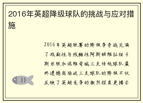 2016年英超降级球队的挑战与应对措施